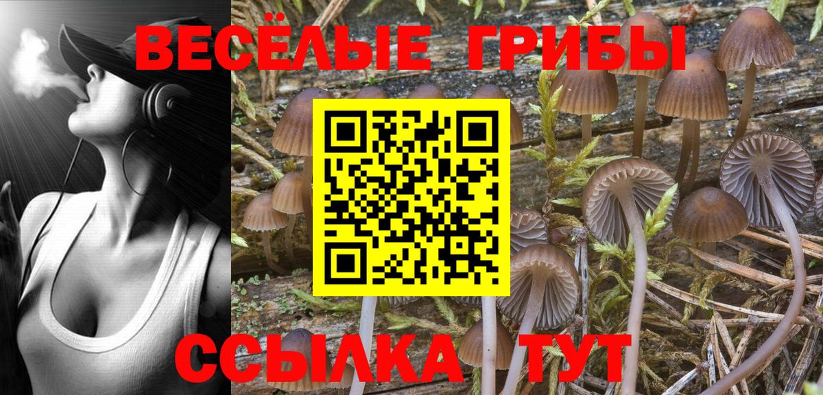 Псилоцибиновые грибы GOLDEN TEACHER Ялуторовск