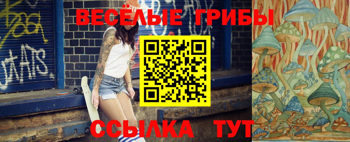 Галлюциногенные грибы GOLDEN TEACHER  Вход с VPN  Ялуторовск  Галлюциногенные грибы Psilocybine cubensis 
